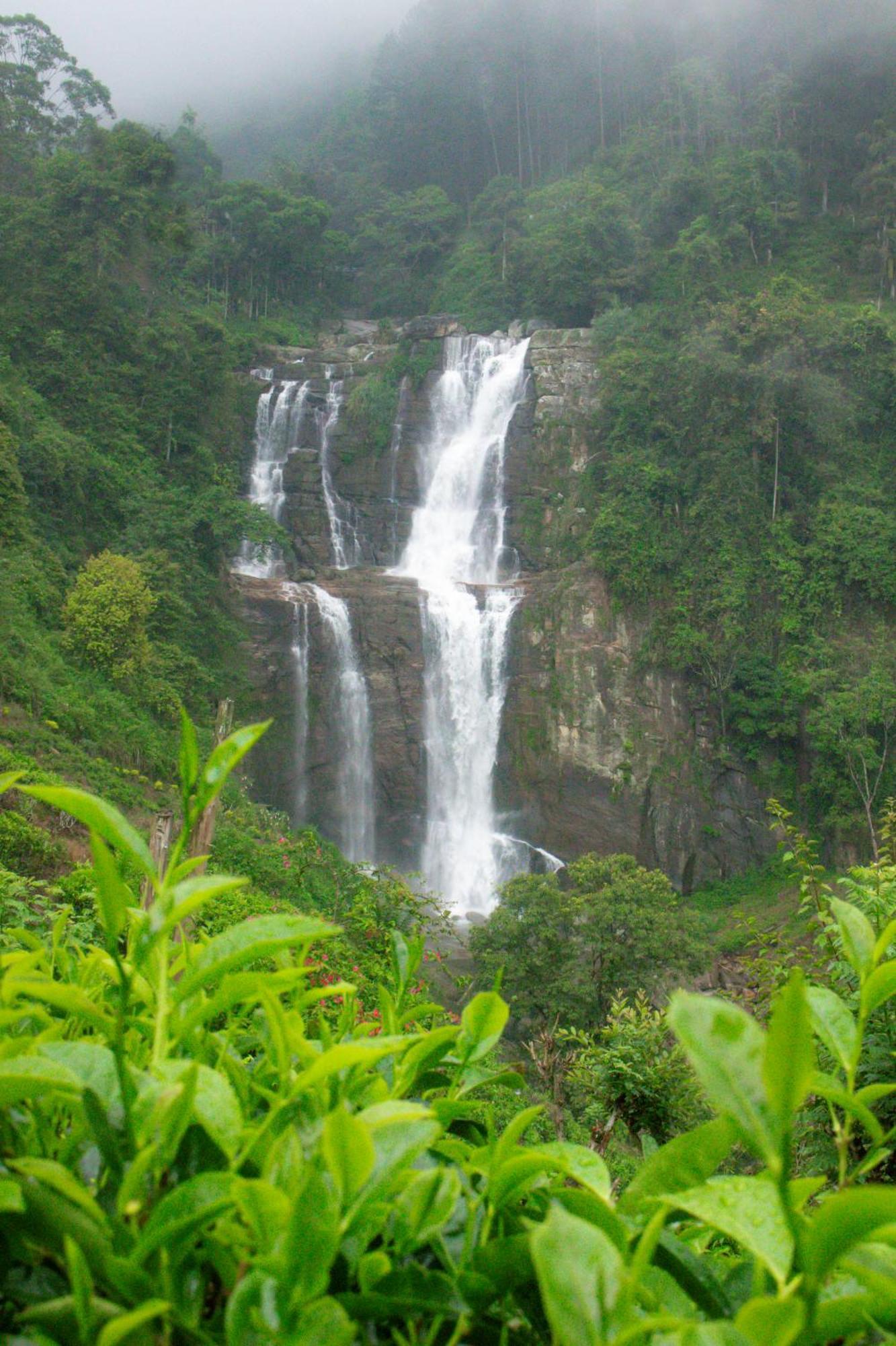 Ramboda Falls Plc מראה חיצוני תמונה